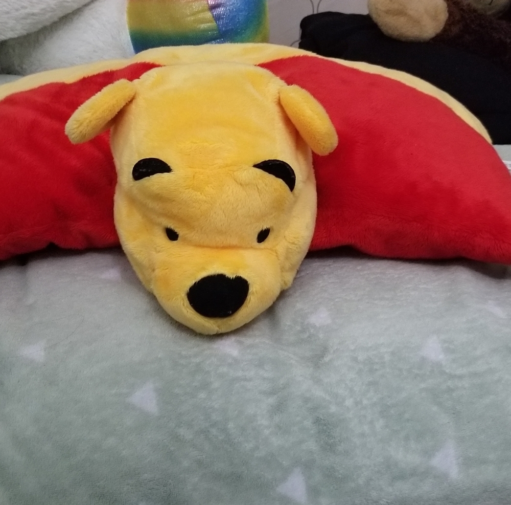 Winnie the Pooh Pillow